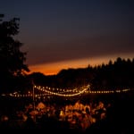 A beautiful wedding ceremony outside of Portland at Kraxburger Farm photographed by Stark Photography. (12)