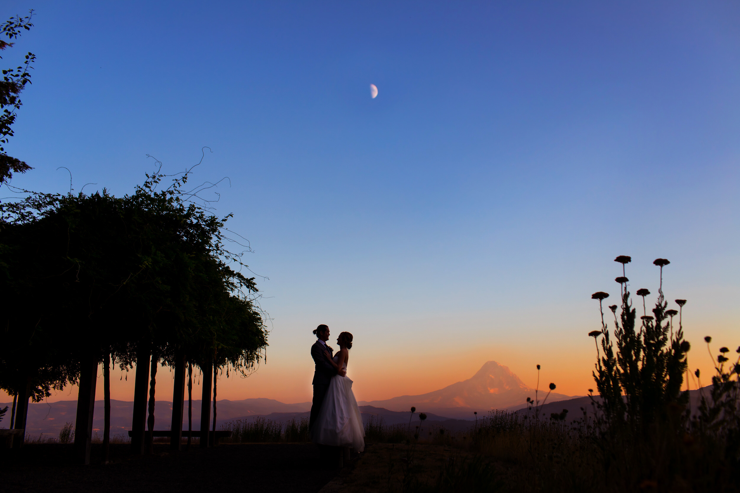 A beautiful Gorge Crest Vineyards wedding by Portland wedding photographers, Stark Photography