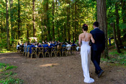 bride walking down the aisle in the forest