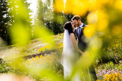 bride and groom posing in wildflowers on mt. hood