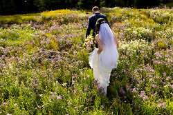 couple walking through the wildflowers on mt. hood