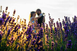 bride and groom blurry behind a photo of lavender at a hood river orchard
