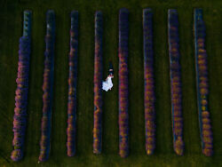 drone photo of a wedding couple in a lavender farm